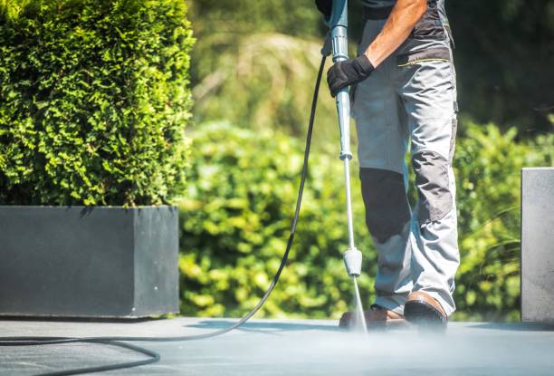 Best Solar Panel Cleaning  in Farmingville, NY