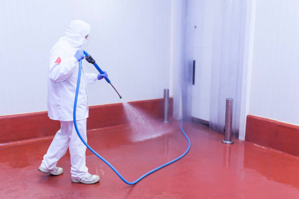 Trusted Farmingville, NY Pressure Washing Services Experts